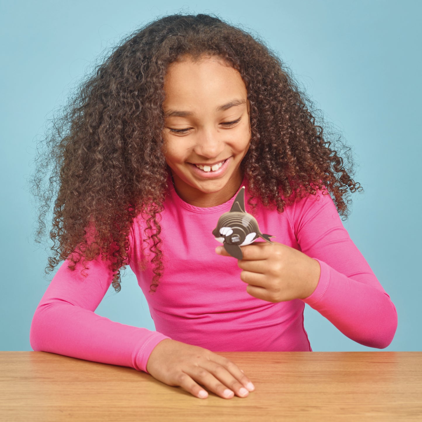 Orca - cardboard kit