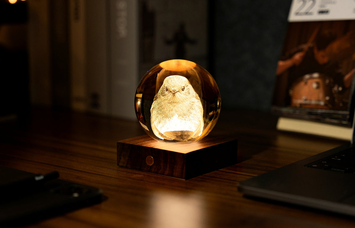 Amber crystal light - Robin