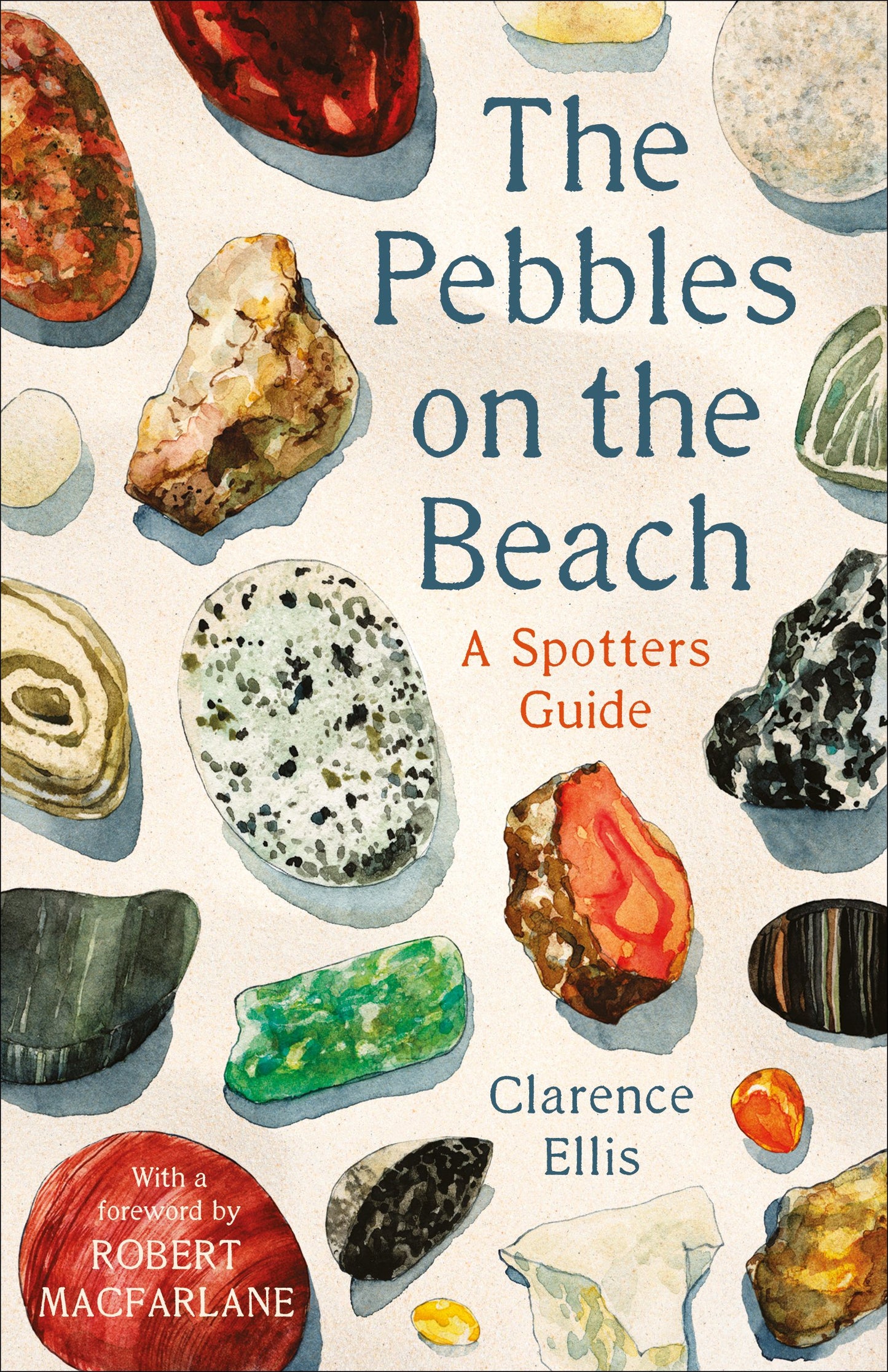 Pebbles On The Beach: A Spotters Guide