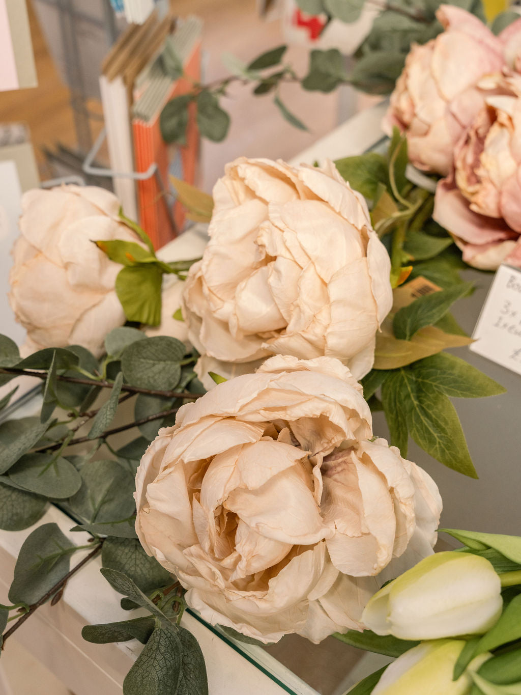 Peony, Off white