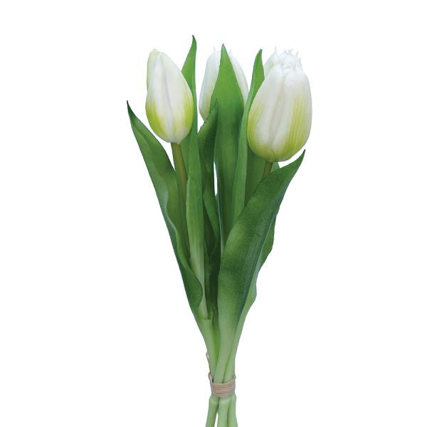 Tulips white bunch