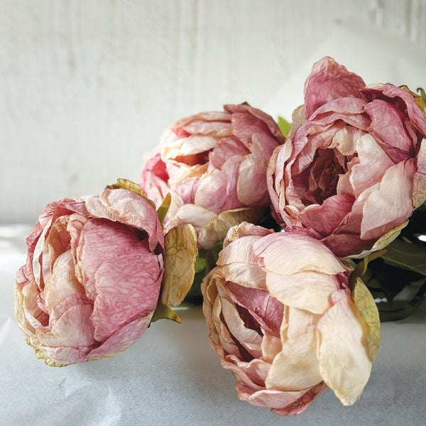 Peony Light Pink